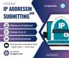 Private CCNA Tutor &amp; Programming Session Dubai UAE